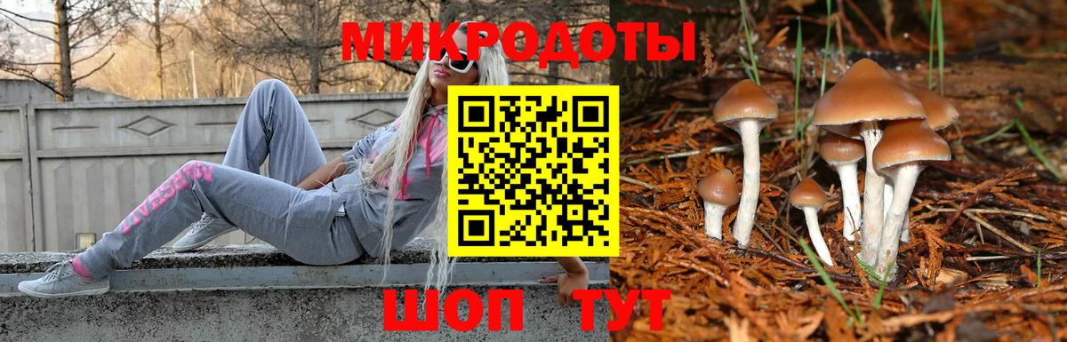 Тольятти  Галлюциногенные грибы ЛСД  Вход с VPN  Псилоцибиновые грибы прущие грибы 