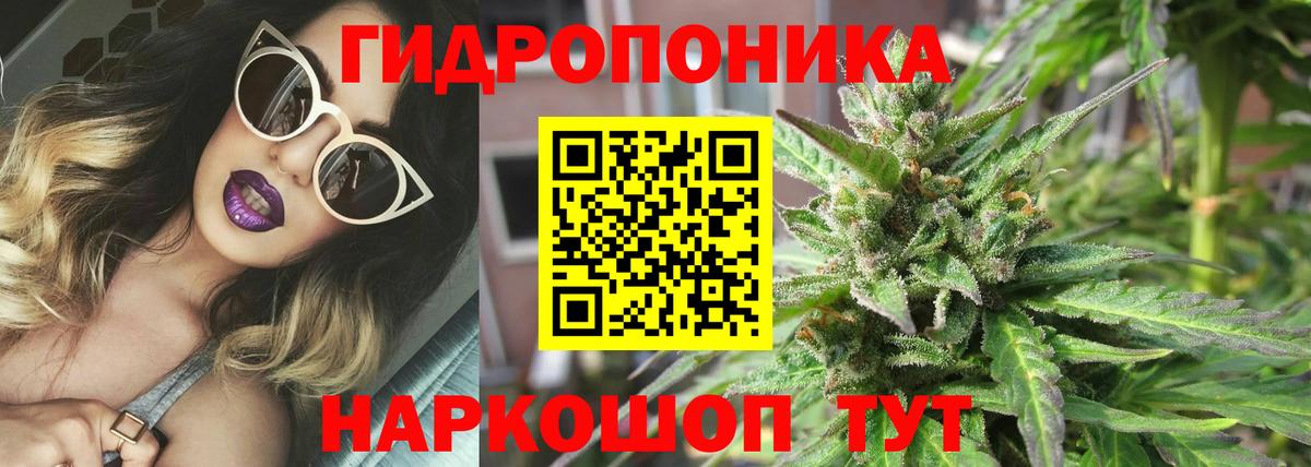 МАРИХУАНА THC 21%  Бошки Шишки индика  Бошки Шишки план  Тольятти  Вход с VPN  Шишки марихуана марихуана 